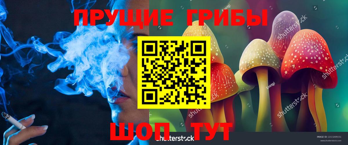 Галлюциногенные грибы прущие грибы Нижний Тагил
